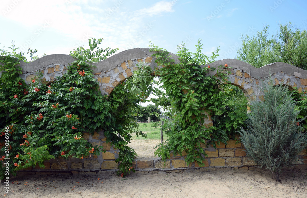 stone arch made of shell with a white curtain covered with vine