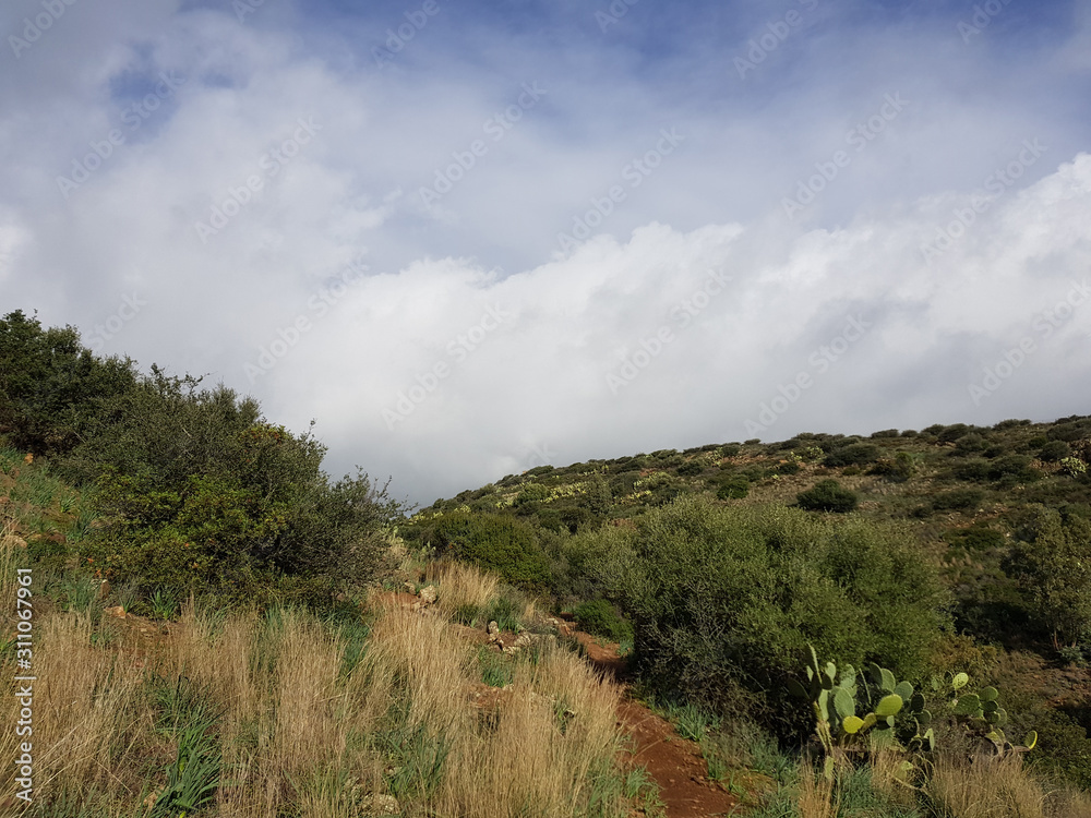 Obraz premium Paesaggio