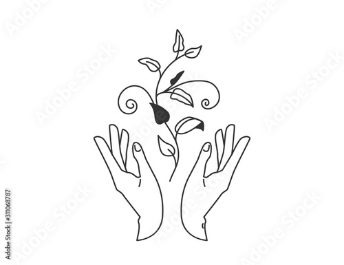 Two hands hold floral plant with leaves. Vector illustration in simple flat line style
