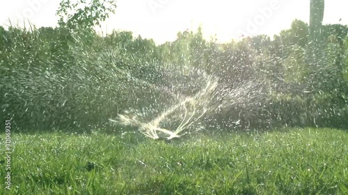 Garden irrigation. Automatic sprinkler watering system for plants and lawn.