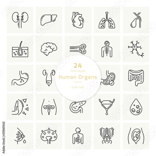 Human internal organs icons.