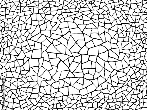 The cracks texture white and black. Vector background.Cracked earth. Structure of cracking. Cracks in dry surface soil texture. shards