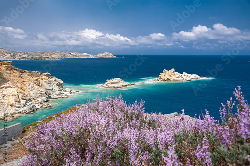 Thyme bushes on a rock against the background of two sea islands