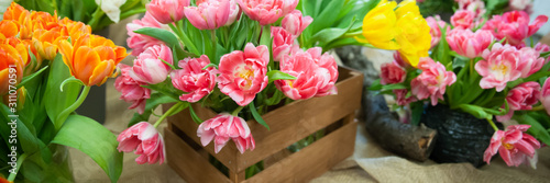 Fresh spring  colorful  tulip flowers banner. Lot of multicolored tulips bouquets.  Hello Spring and  Woman day concepts