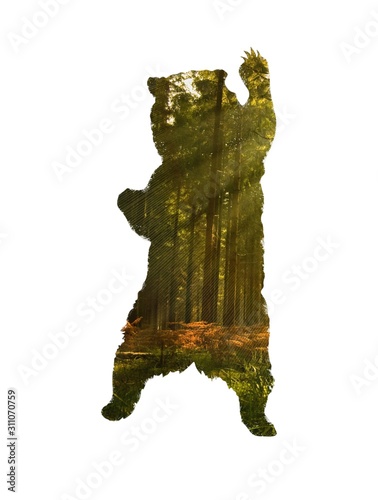  Bear silhouette drawing.Bear with pine forest inside the silhouette.Bear stands on its hind legs with pine forest inside .Silhouette of a bear with a clawed paw. photo