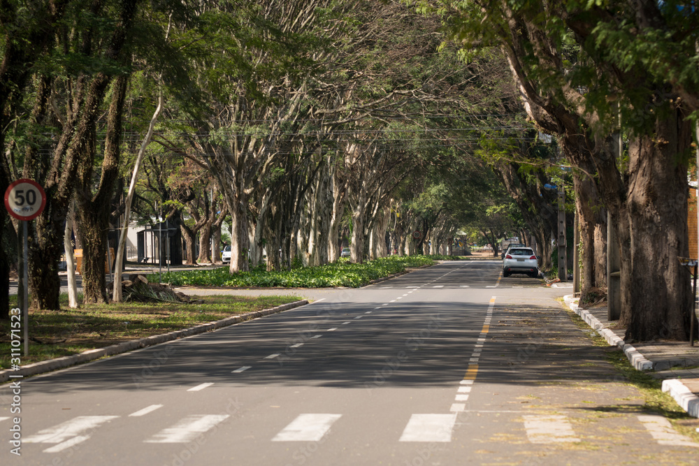 Covered and tree lined street. Maringa, Paraná, Brazil.