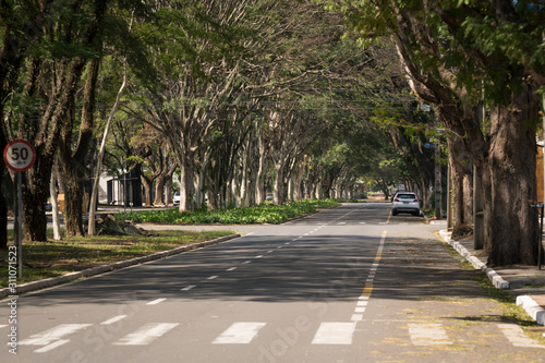 Fototapeta Naklejka Na Ścianę i Meble -  Covered and tree lined street. Maringa, Paraná, Brazil.