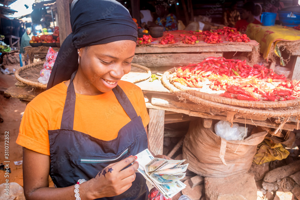 young african woman selling tomatoes in a local african market counting money