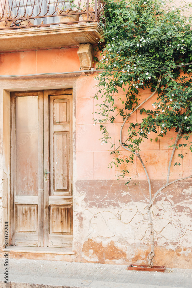 Fototapeta premium entrance to the house italy 