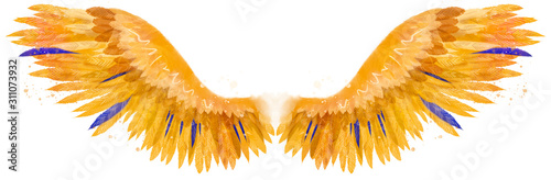 Obraz na płótnie Piękne żółte pomarańczowe złote ogniste magiczne skrzydła feniksa z kilkoma niebieskimi piórami