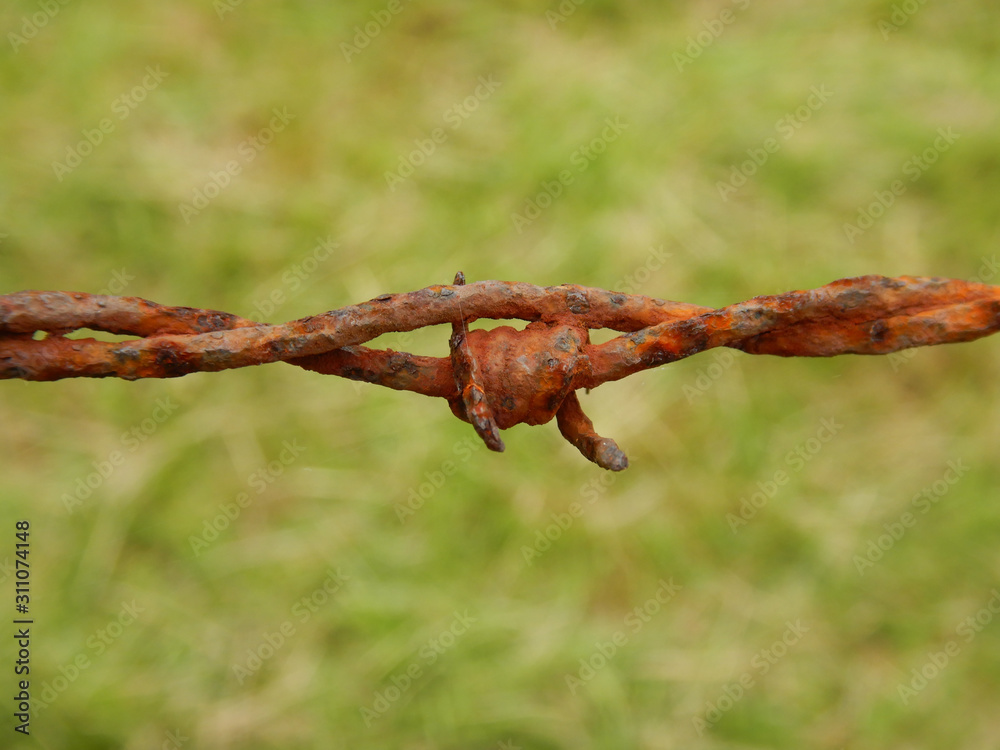 close up of a rusty wire close up of a rusty wire