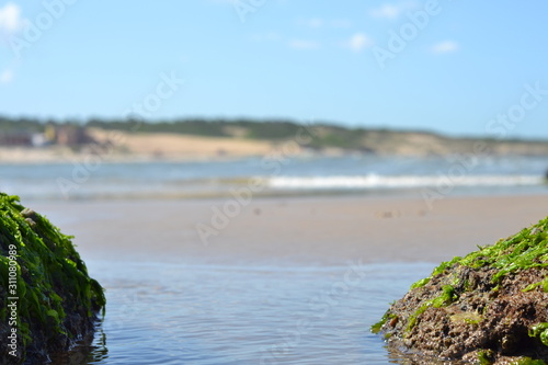 Beach sunny