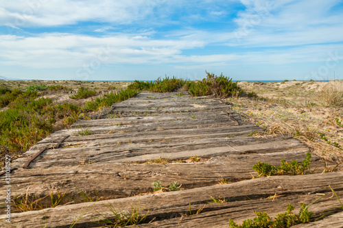 Wooden footpath in coastal sand dunes.