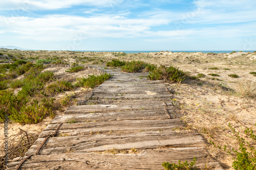 Wooden footpath in coastal sand dunes.