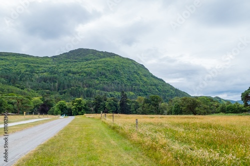 Way in Killarney National Park