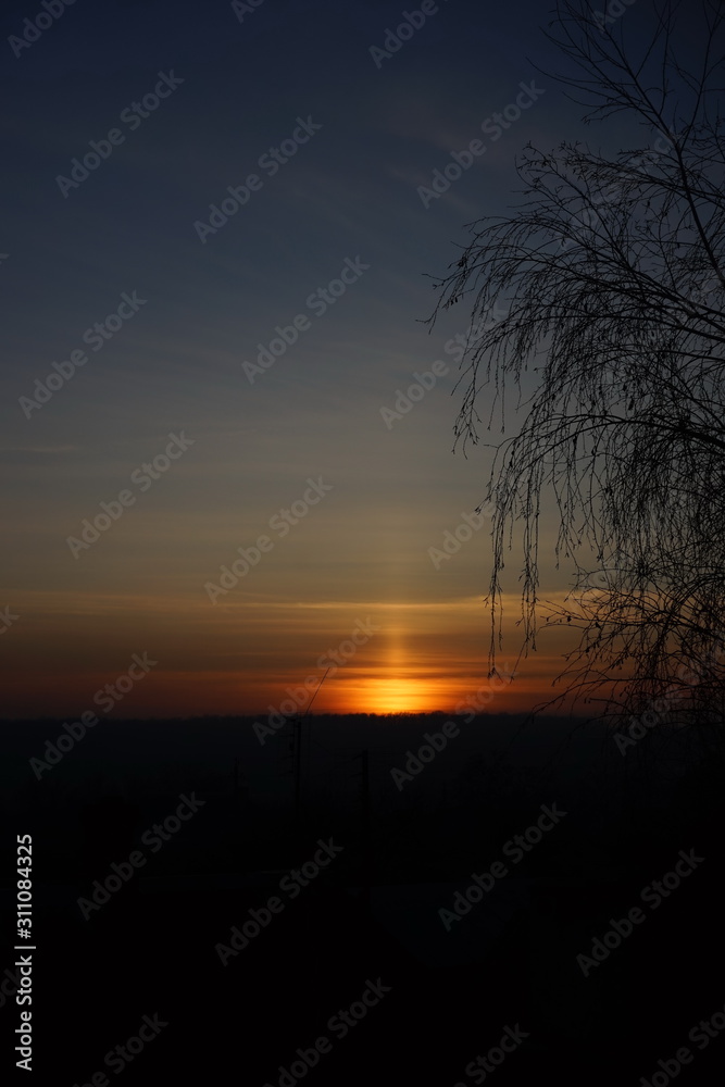 Dark sunset sky with the setting sun, silhouette of birch branches. Dark sunset sky with the setting sun, silhouette of birch branches.