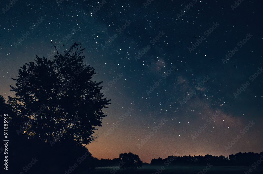 Fototapeta premium Milky way on a beautiful night sky, the Milky Way and the trees