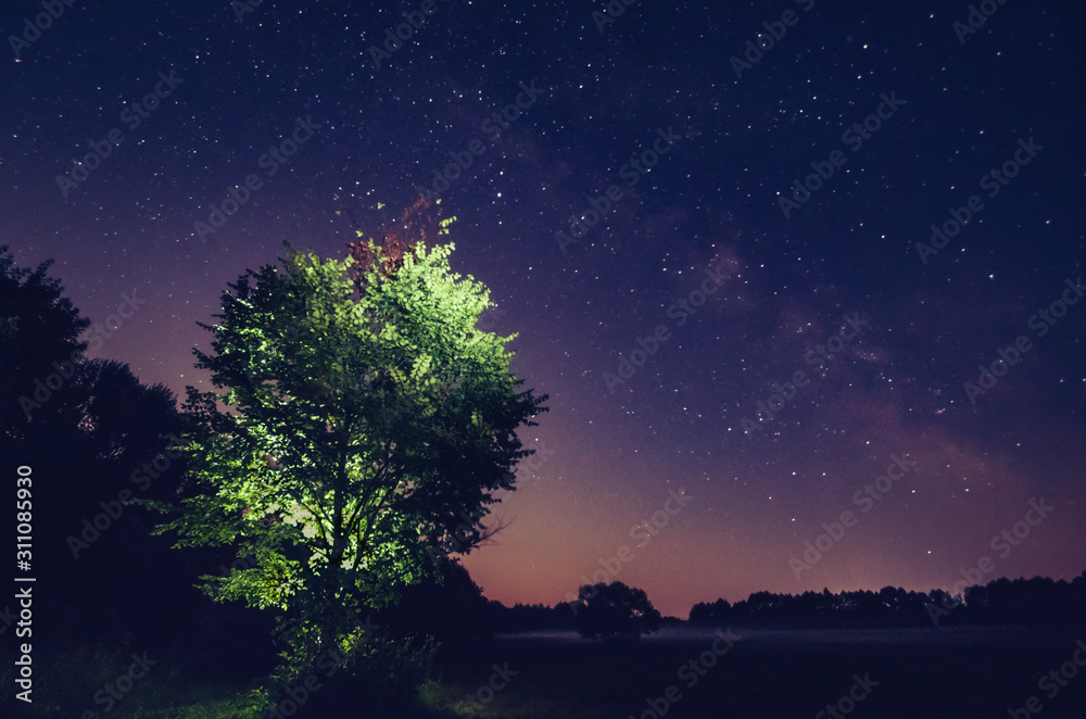 Naklejka premium Milky way on a beautiful night sky, the Milky Way and the trees