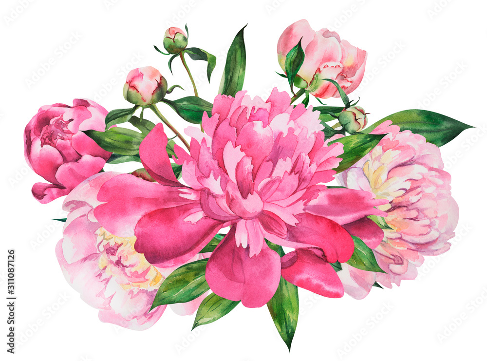 Beautiful bouquet with peonies, peony flowers on isolated white background, watercolor hand drawing stock illustration.
