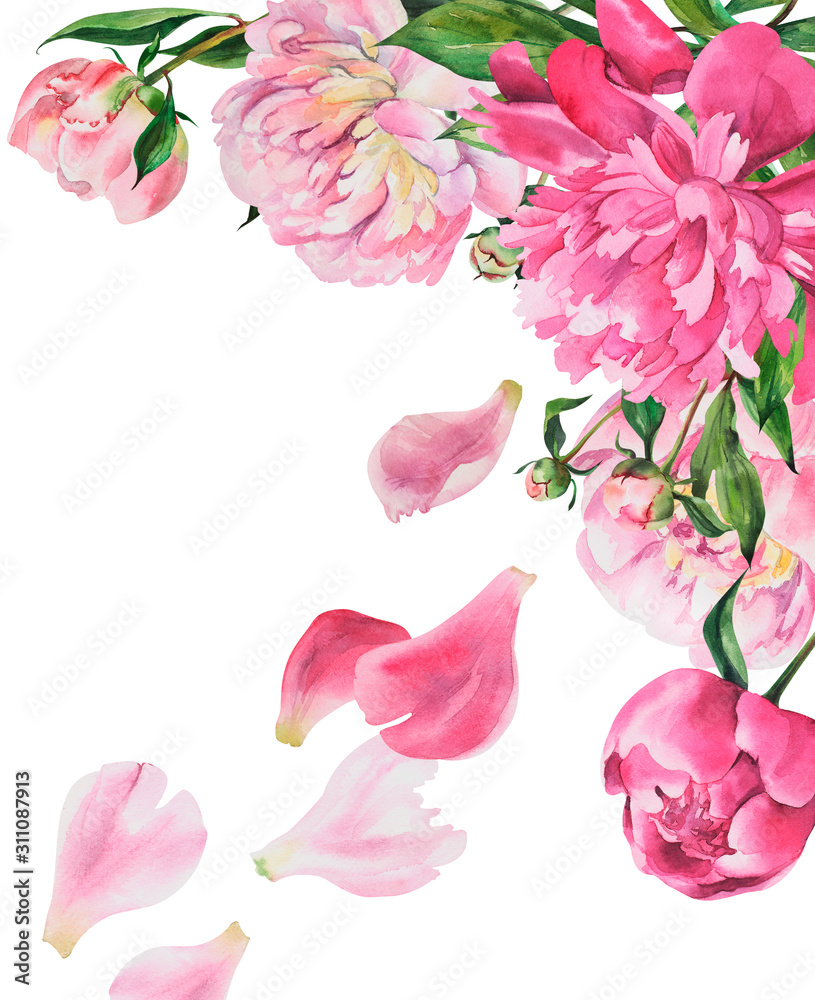 Frame with peonies, peony flowers on isolated white background, watercolor hand drawing. Stock illustration. Frame with peonies, peony flowers on isolated white background, watercolor hand drawing. Stock illustration.