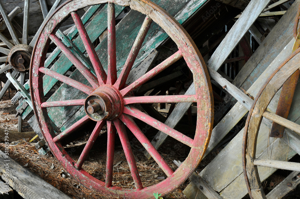 Chariot wheel