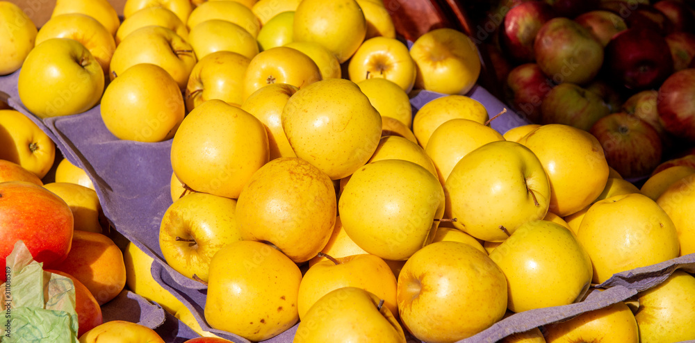 yellow apples on display yellow apples on display