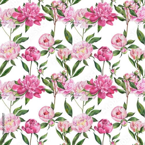 Pattern with peonies  peony flowers on isolated white background  watercolor hand drawing. Fabric wallpaper print texture. Stock illustration.