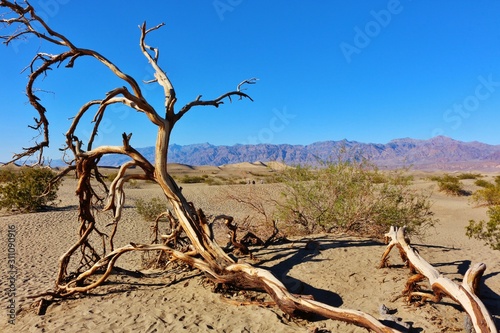 Mesquite Flats Sand Dunes at Death Valley National Park