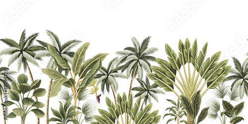 Tropical vintage botanical palm trees, banana tree floral seamless border white background. Exotic jungle wallpaper.