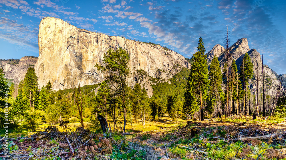 Sunrise over the large granite El Capitan rock under colorful sky. Viewed from Yosemite Valley in Yosemite National Park, California, United States
