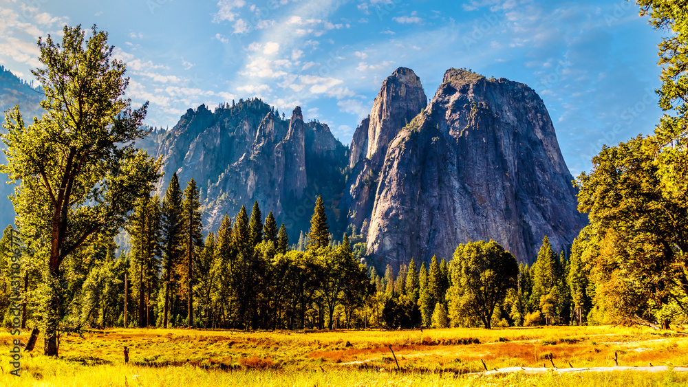  $94.30 harrybeugelink@gmail.com Meadows in Yosemite Valley with tall Granite Rocks in the background in Yosemite National Park, California, United States