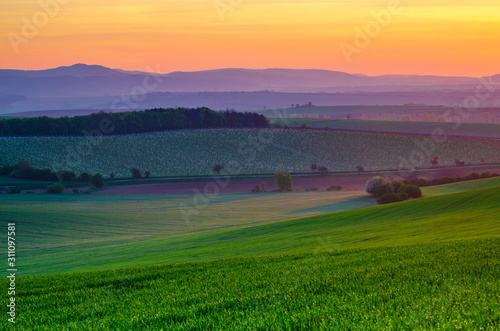 Rural spring landscape