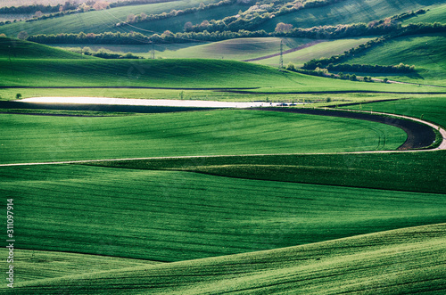 Green grass field background