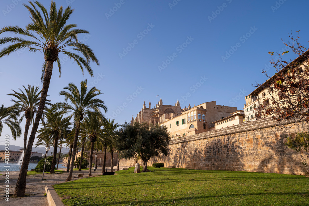 Fototapeta premium La Seu, the gothic medieval cathedral of Palma de Mallorca, Spain