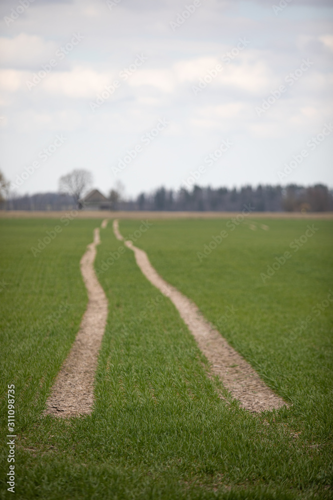 green field in spring