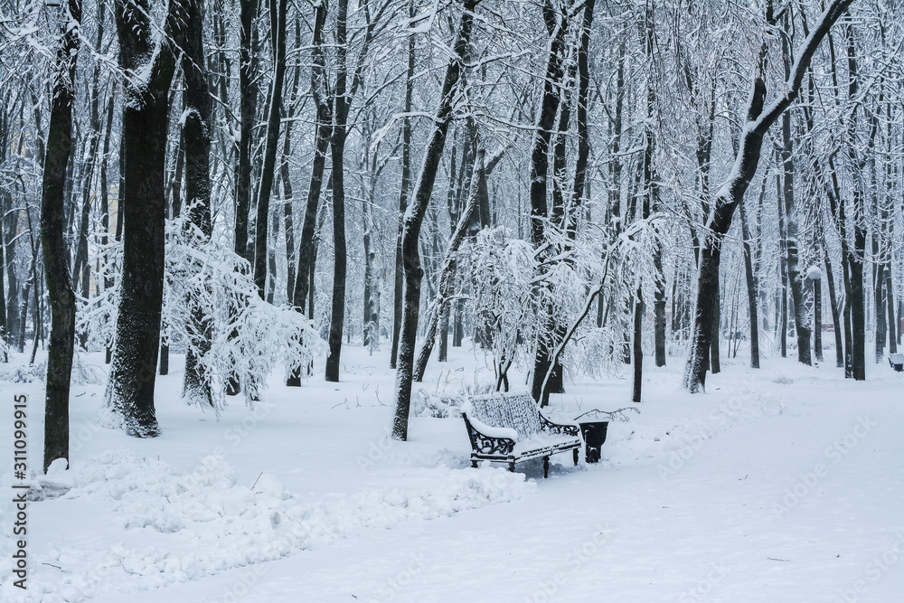 Bench covered with snow among trees in the park on a winter day