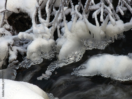 Photography snowy fir tree in the snow, sweden, sverige, nacka, stockholm