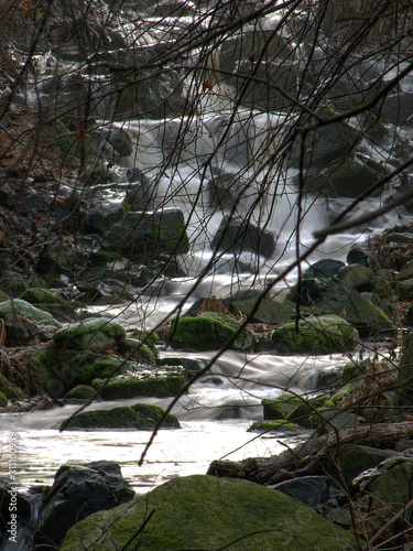 Photography mountain stream in the forest, sweden, sverige, nacka, stockholm