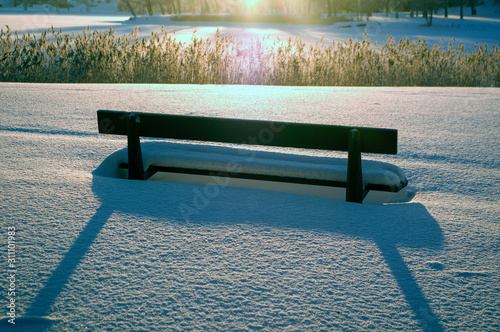 Photography bench in the park, sweden, sverige, nacka, stockholm