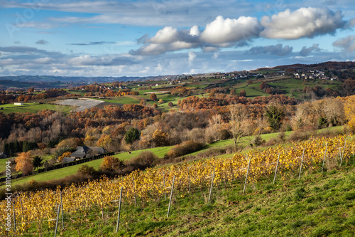 Donzenac (Corrèze, France) - Vallée de la Vézère et vignobles en automne