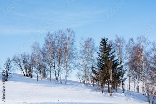 雪原と冬木立 © kinpouge
