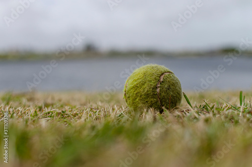 tennis ball on the grass with bokeh background