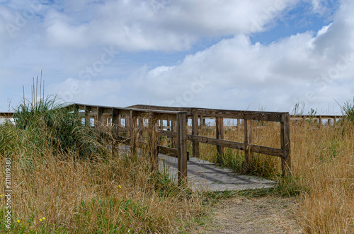 Fototapeta Naklejka Na Ścianę i Meble -  wooden walkway leading to the beach