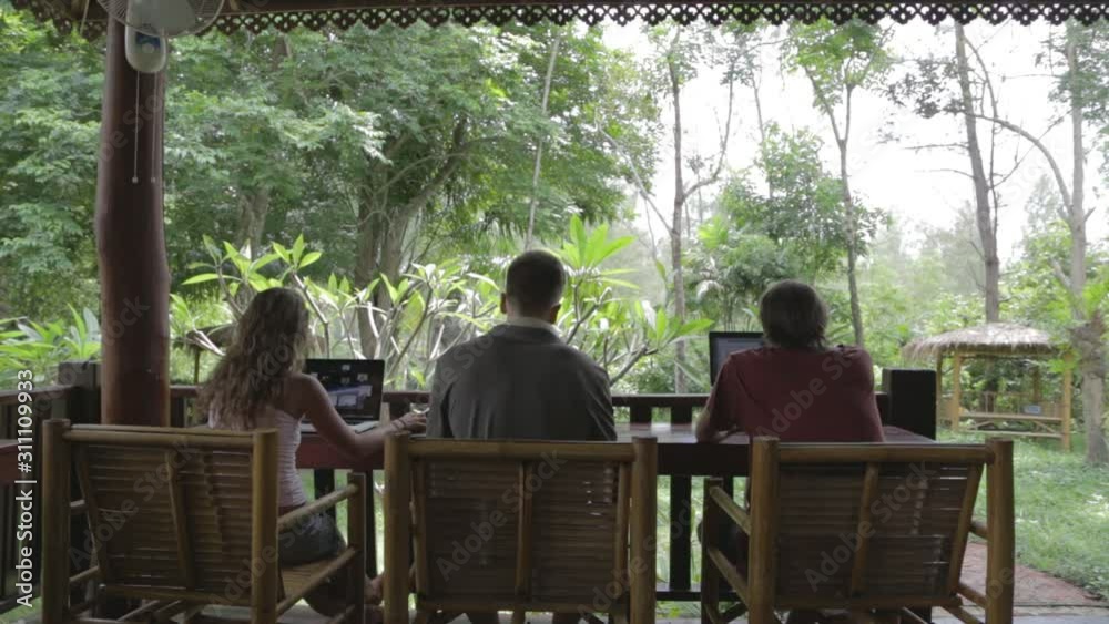 back view 3 digital nomads working in the jungle back view 3 digital nomads working in the jungle