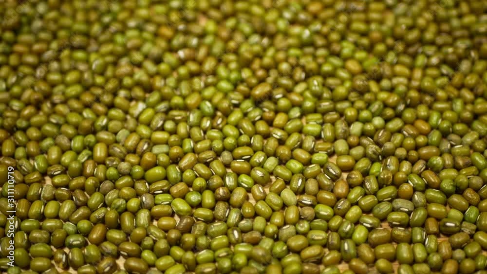 Green mung beans or gram legume, maash moong plant, pulses for healthy nutrition, superfood. India Asian cuisine eaten raw herb, agriculture, shop store healthy nutrition, detail bio organic Green mung beans or gram legume, maash moong plant, pulses for healthy nutrition, superfood. India Asian cuisine eaten raw herb, agriculture, shop store healthy nutrition, detail bio organic