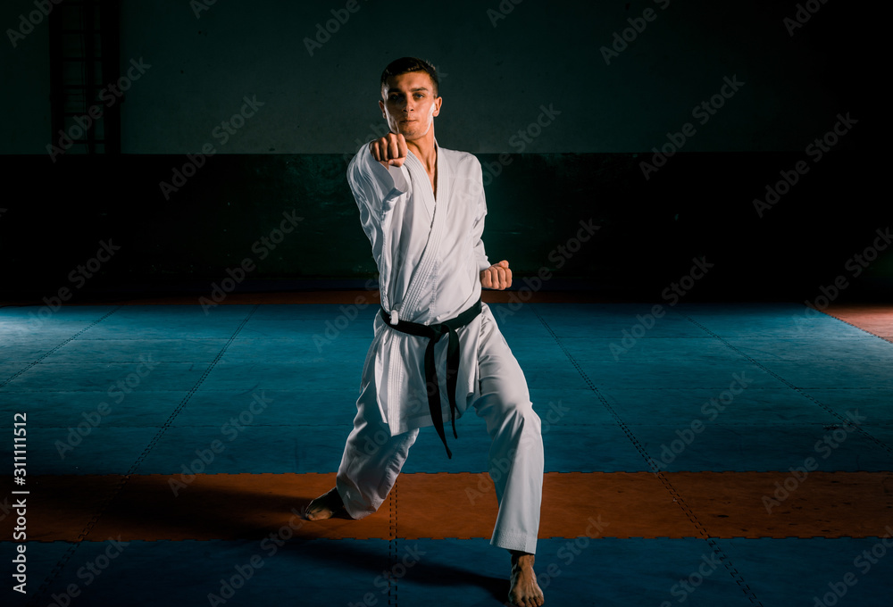 Portrait of a martial arts master on the black background