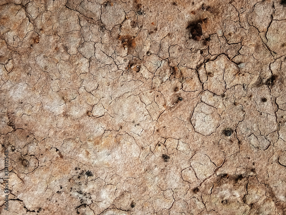 The ground has cracks in the top view for the background The ground has cracks in the top view for the background