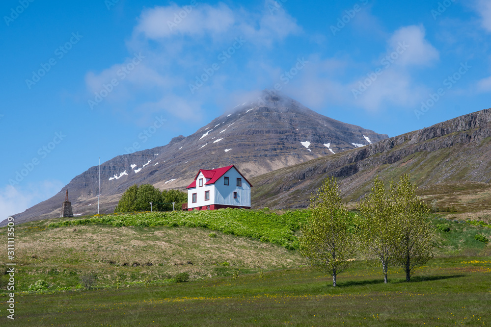 Buildings in town of Stodvarfjordur in east Iceland