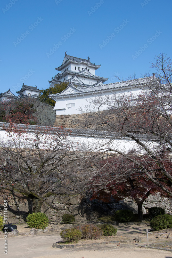 Autumn foliage in Himeji castle in fall season in Himeji