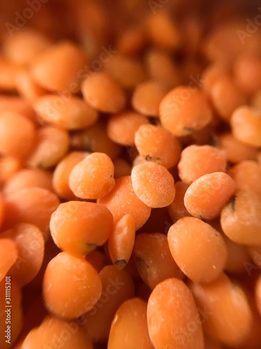 Red organic raw lentils grain macro closeup food background